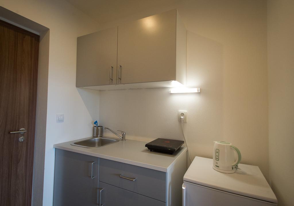 Apartment Horni Brana *
